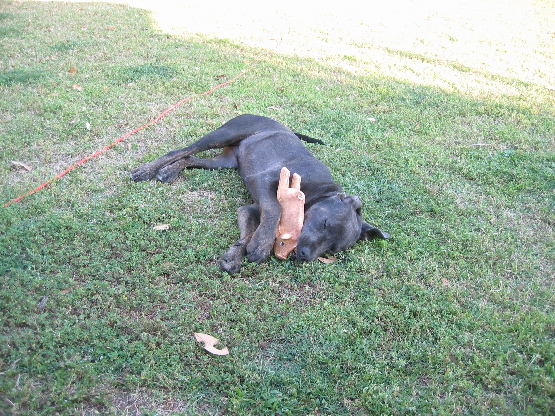 2008 05 26.185423