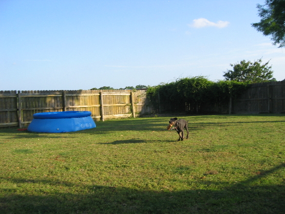2008 05 26.185615