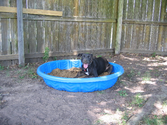 2008 06 27.134658