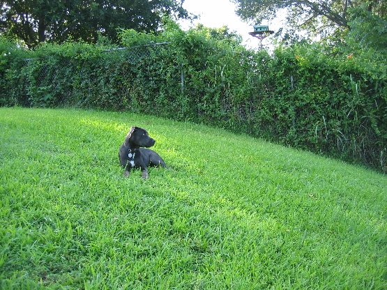 2008 06 29.175621