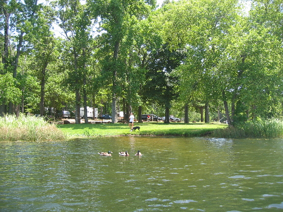 2008 07 13.123626
