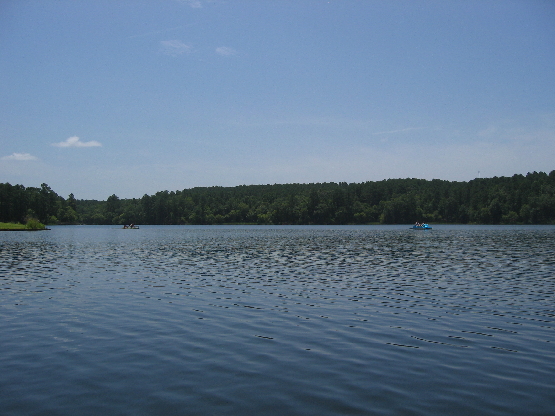 2008 07 13.123847