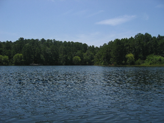 2008 07 13.124250