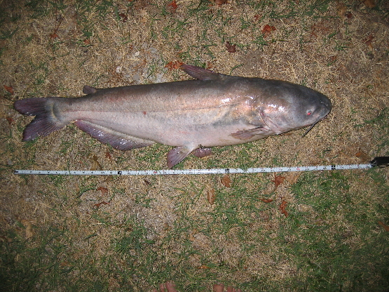 2008 08 06.000240